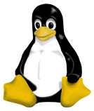 Everyone should use linux